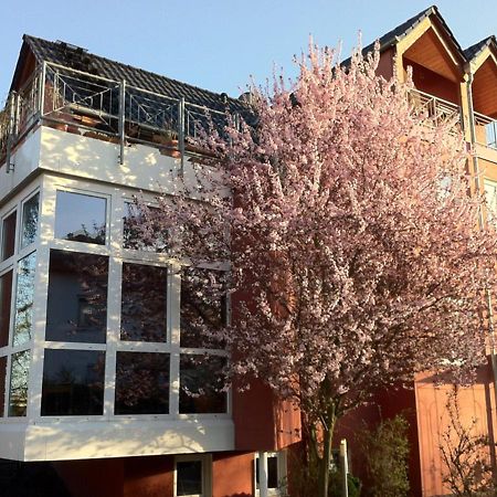 Gaestehaus Kirschgarten Bodenheim Exterior photo