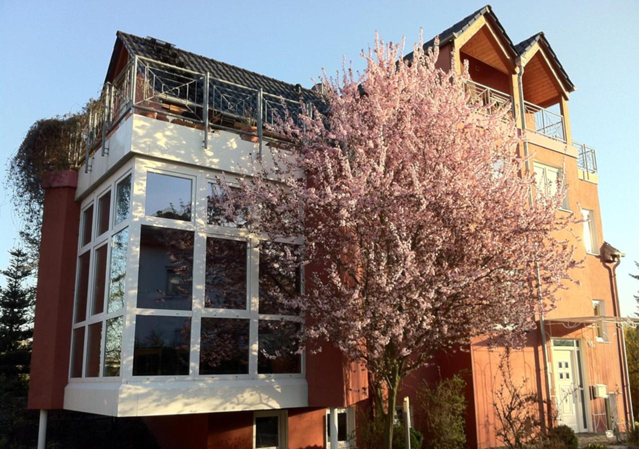 Gaestehaus Kirschgarten Bodenheim Exterior photo